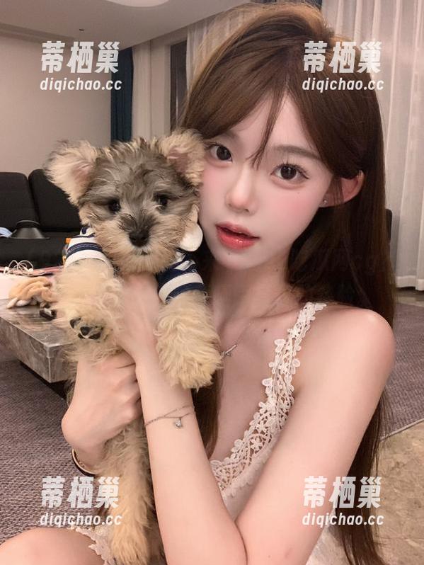 为何不来下载92吃瓜网cg？看别人八卦，顺便晒晒自己的熟脸。