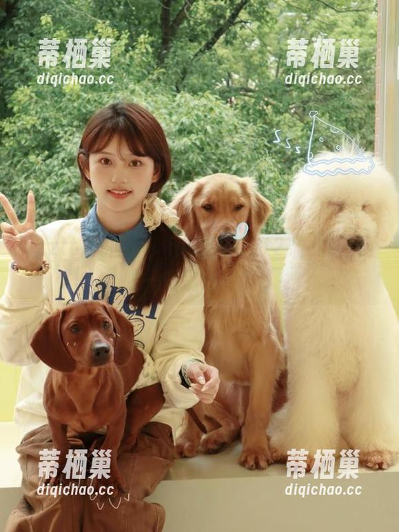 就问你，ios玩zzztt21，能否召唤一些别致的瓜！