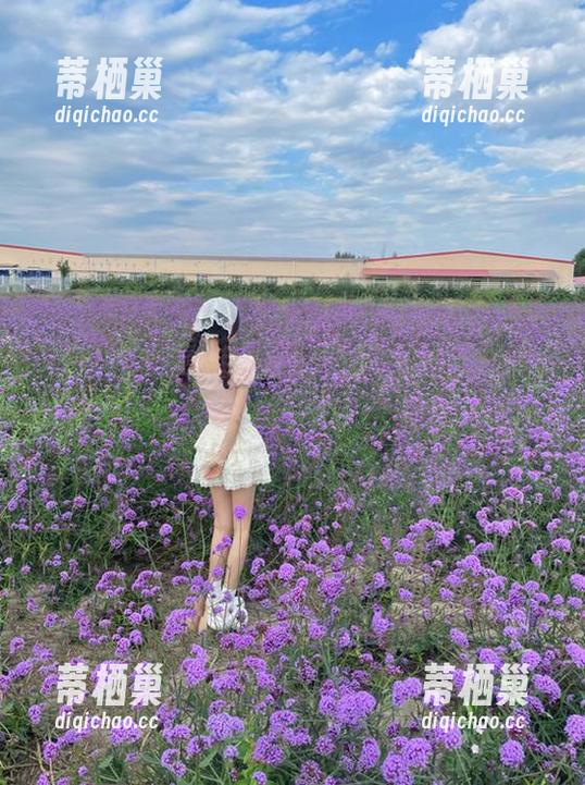 吃瓜718，直达“草地上打滚”快感的小秘密！