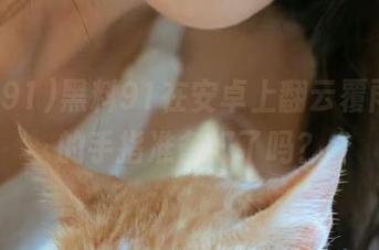 黑料91在安卓上翻云覆雨，你的手指准备好了吗？