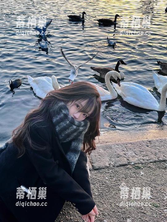 黑料不打烊 163sk黑料不打烊,永久更新的传奇八卦大片巴适得板!