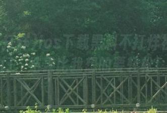 ios下载黑料不打烊视频的后门，结果比我想的要轻松！